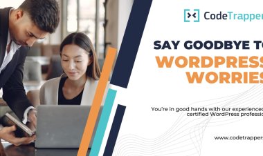 Codetrappers are at your rescue with the most pocket-friendly services to save you time with all WordPress issues