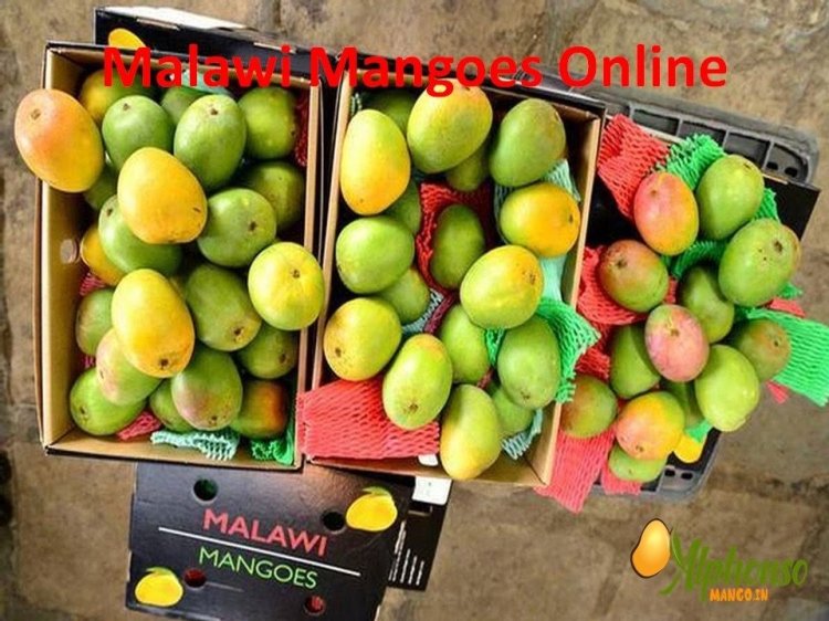 Malawi Mangoes: A Taste of Sunshine from the Warm Heart of Africa Now in India